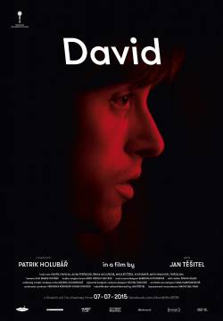 David - Diventare se stessi (2015)
