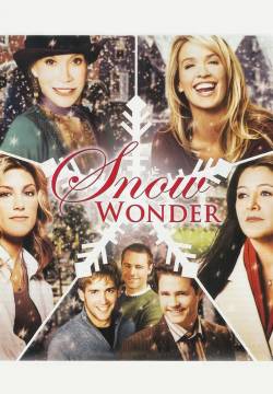 Snow Wonder - Un bianco Natale a Beverly Hills (2005)